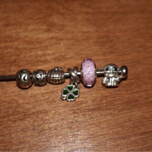 Pandora Charms
